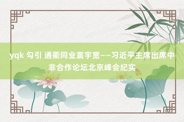 yqk 勾引 通衢同业寰宇宽——习近平主席出席中非合作论坛北京峰会纪实